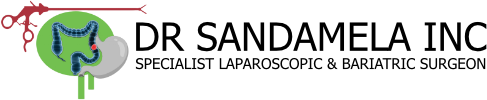 Dr Sandamela Inc - Specialist Laparoscopic & Bariatric Surgeon